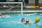 WWPolo vs CC  Wheaton College Women’s Water Polo compete in their sports inaugural match vs Connecticut College. - Photo By: KEITH NORDSTROM : Wheaton, water polo, inaugural